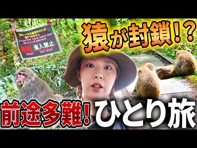 【上高地ひとり旅】通行止めから始まった最高の旅計画が崩壊したから、馬刺しを食べまくる。