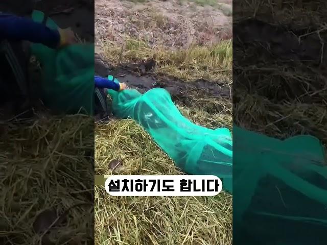 한국과 차원이 다른 베트남 농사 기술