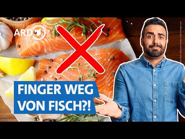 Diesen Fisch kann man noch guten Gewissens essen | Markt WDR