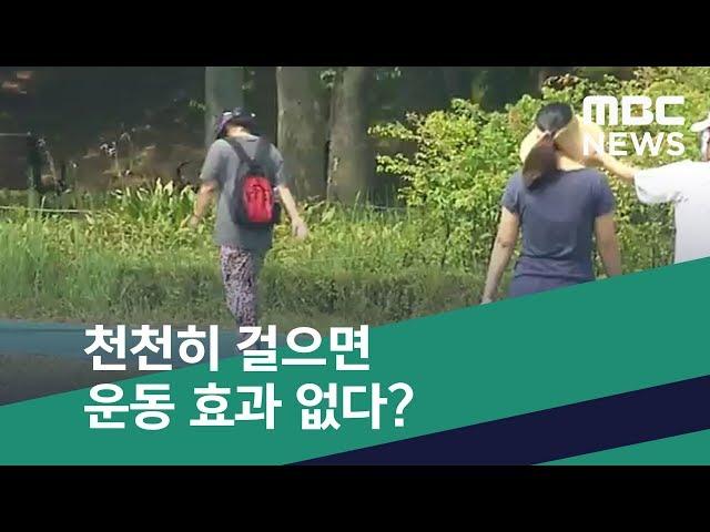 [스마트 리빙] 천천히 걸으면 운동 효과 없다? (2019.09.02/뉴스투데이/MBC)