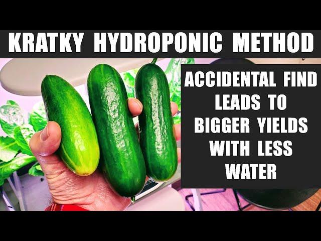 KRATKY HYDROPONICS   ACCIDENTAL DISCOVERY RESULTS