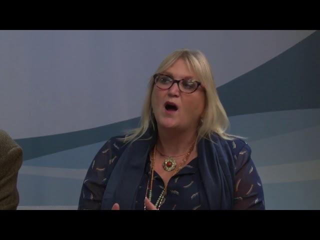 Karen Constantine on Paul on Politics 11.01.19 – Mackinlay clip