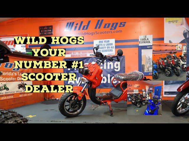 WILD HOGS SCOOTER! YOUR NUMBER ONE STORE SCOOTER DEALER!