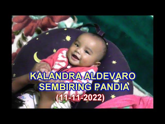 KALANDRA ALDEVARO SEMBIRING PANDIA