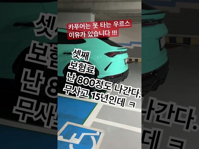 카푸어는 타지 못 하는 우르스#shorts #부자