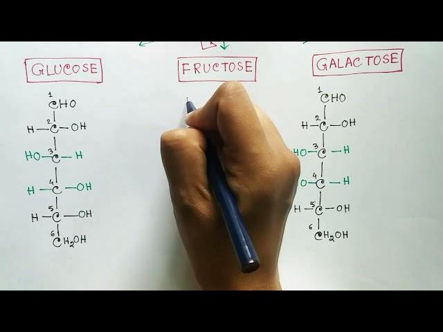 Carbohydrates : Monosaccharides | Glucose | Fructose | Galactose