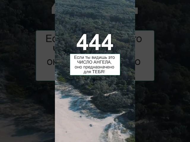 444 Ангельская нумерология. Время 4:44 на часах значение #444 #ангельскаянумерология #послание