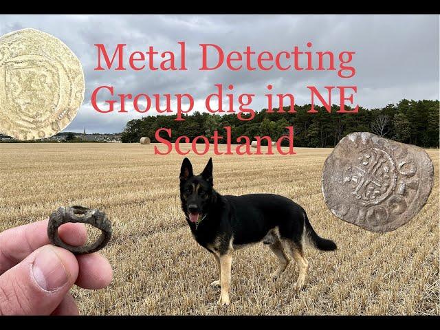 Metal detecting group dig, German Shepherds, Hammered coins and medieval dog leads!