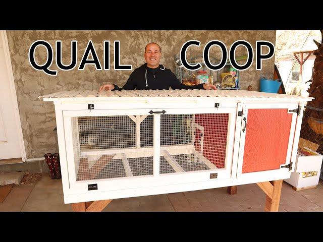 DIY Quail Coop Tour