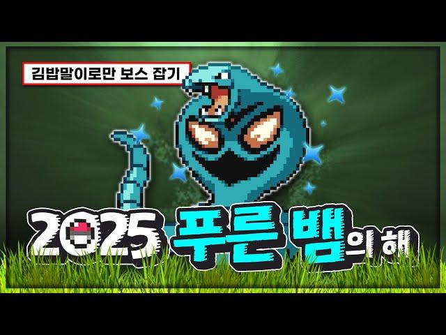 뱀 포켓몬 '한마리'로 200층 깨기 [포켓로그]