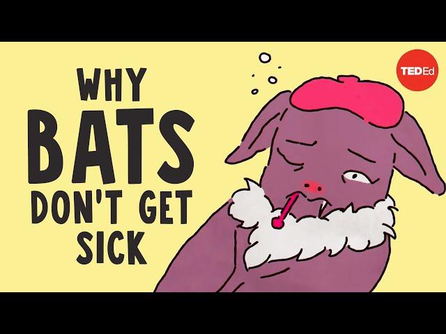 Why bats don't get sick - Arinjay Banerjee