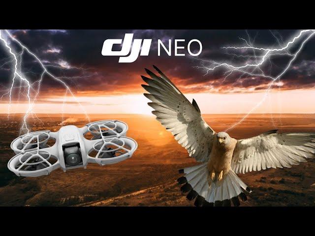 DJI NEO VS 20 BIRDS VS MUM