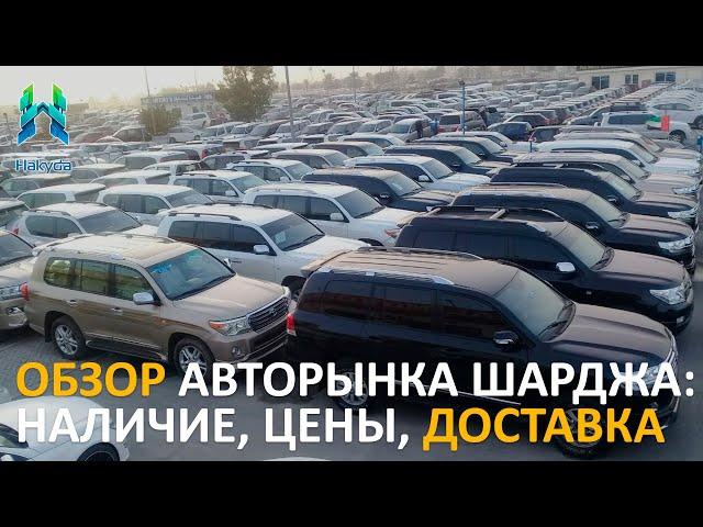 Обзор авторынка Шарджа (Дубай): цены, какие авто в продаже и как доставляют автомобили в ОАЭ