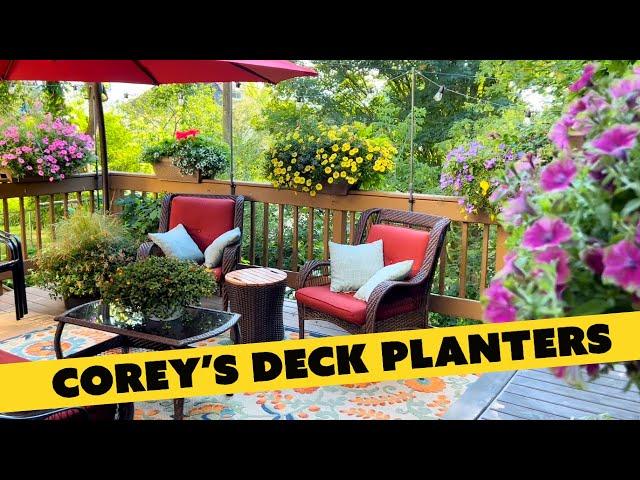 A look at the flowers in Corey’s deck planters