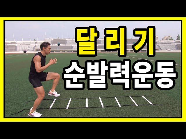 18가지달리기순발력훈련 사다리스피드트레이닝 100m빨리뛰는몸풀기 | LadderStepsDrills #11편