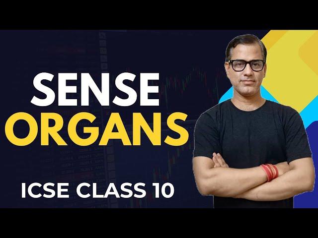 Sense Organs Class 10 ICSE | Sense Organs One Shot | Biology ICSE Class 10 | @sirtarunrupani