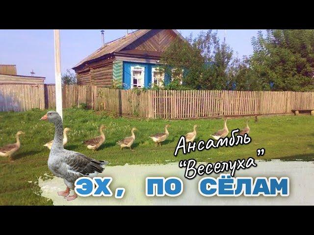 В ПОИСКАХ НЕВЕСТЫ...