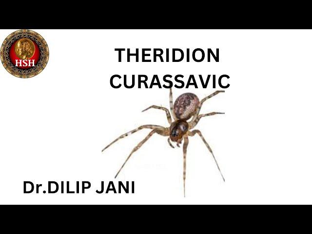 THERIDION CURASSAVICUM - Dr. Dilip Jani @hsh_homeopathy