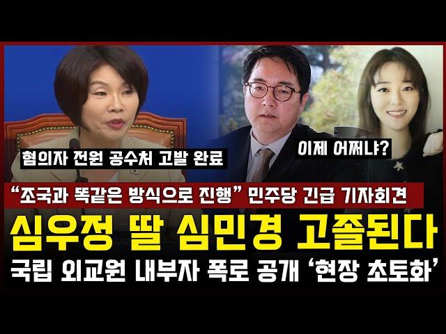 "Proceeding in the same way as the fatherland" Democratic Party emergency press conference, Sim W...