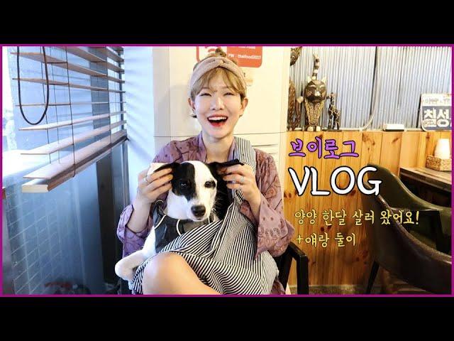 [VLOG] 양양 힐링 브이로그 한달살기 퇴사하고 무모한 도전. 여자 여름패션. 양양힙플. 힐링  ep.1