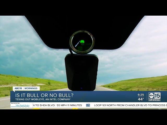 Bull or No Bull: Testing out Mobileye