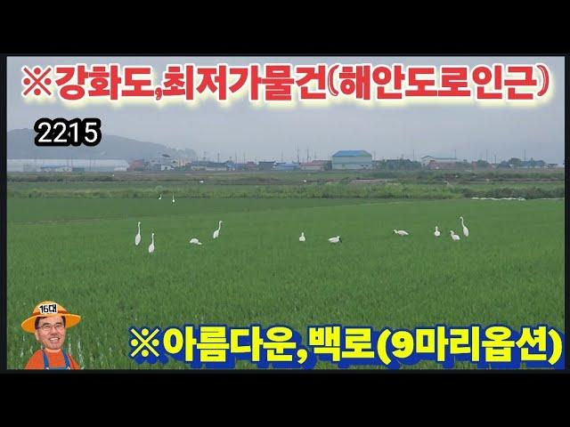 ※급매)내일이면늦으리 #강화도토지 #강화도땅 #강화도농막 #강화도부동산 #강화도전원주택 #강화도농가주택 #김포토지 #강화농지 #부성부동산Tv