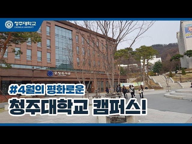 4월의 청주대학교 캠퍼스 풍경!