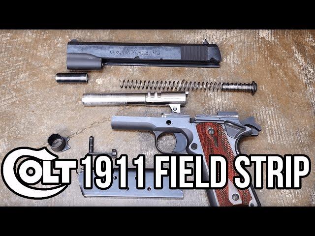 Colt 1911 Field Strip