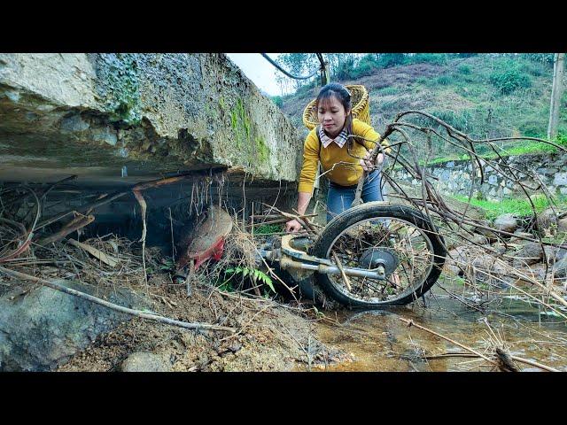 The Motorcycle I Found Under the Bridge / Motorcycle Repair and Restoration Journey