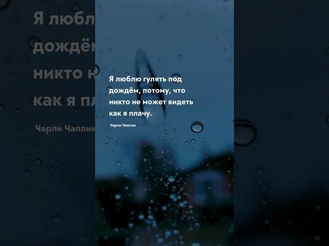 Под дождём Про жизнь - цитаты #цитаты #цитати #прожизнь #прожиття #цитатадня #цитатыпрожизнь #мозг