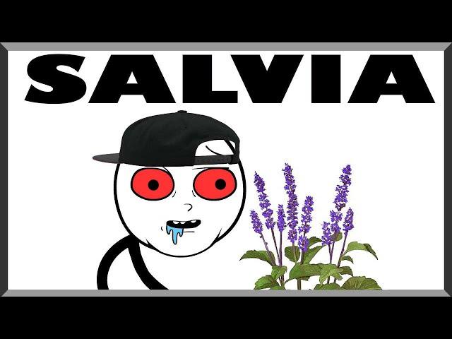 Why Taking Salvia Is Worse Than Death!