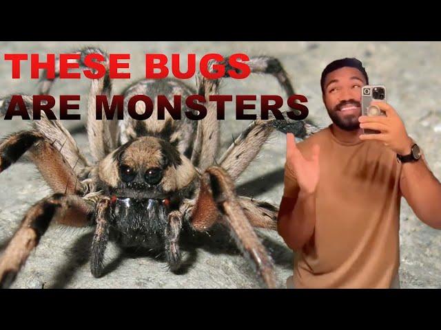 Jordan Howlett Hates Bugs (Compilation)