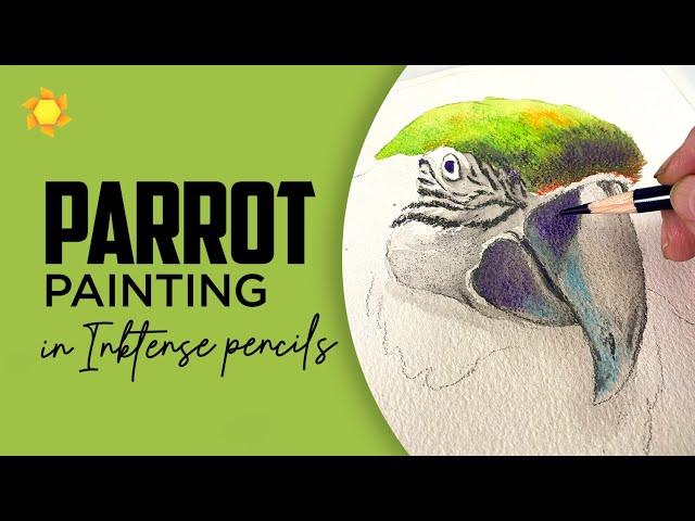 Inktense pencil techniques (Parrot, realtime)