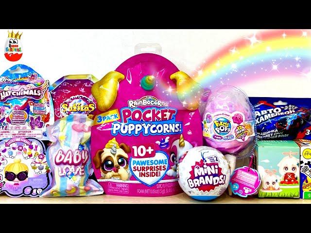 SURPRISE MIX! Pocket Puppicorns RainBoCoRns, Mini BRANDS, PikmiPops, Hatchimals, Unpacking Surprises