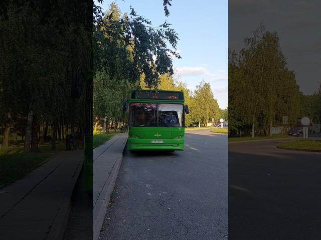 МАЗ-105Респект водителю!#maz #automobile #liaz