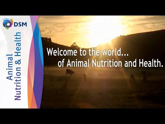 DSM Animal Nutrition & Health - Leading Supplier Of Vitamins, Carotenoids, Eubiotics & Feed Enzymes