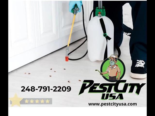 Pest Control Southfield MI | Pest city