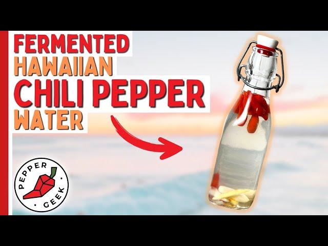 Fermented Hawaiian Chili Pepper Water Recipe - Pepper Geek