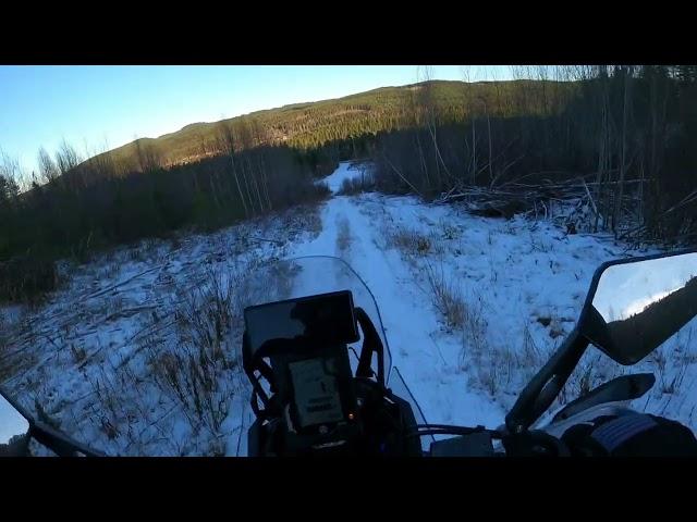 Downhill with the Yamaha Tenere 700 ️