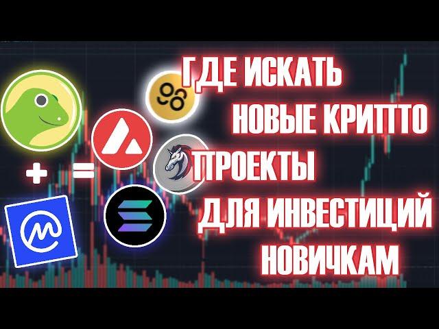 Как найти новую криптовалюту. Где искать блокчейн проекты на начальной стадии