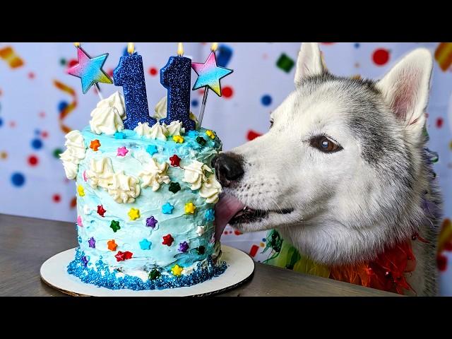 Fluffy Land Cloud Birthday Cake for Dogs ️ DIY Dog Treats