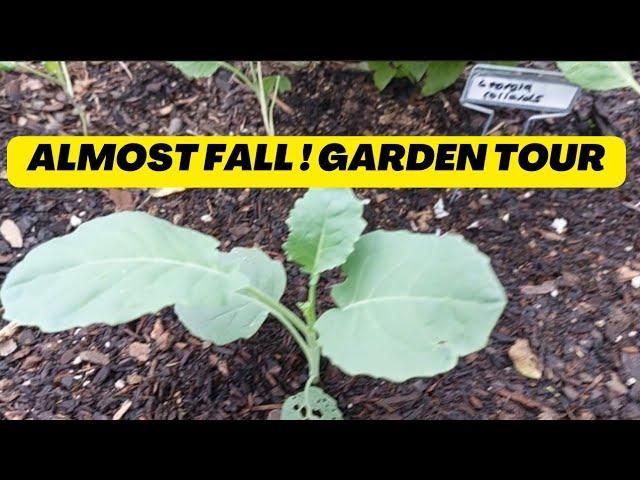 Almost Fall | September Garden Tour | Transitioning Garden