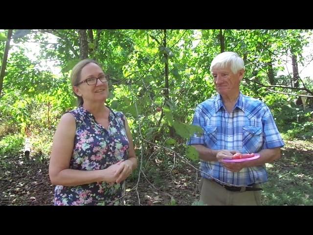 American Persimmons, with Eddie Rhoades