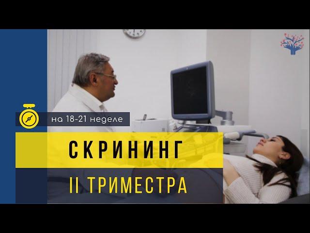 Скрининг 2 триместра беременности