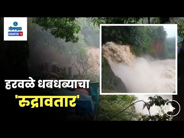 Harvalem Waterfall - हरवळे धबधब्याचा 'रुद्रावतार'... | Gomantak TV