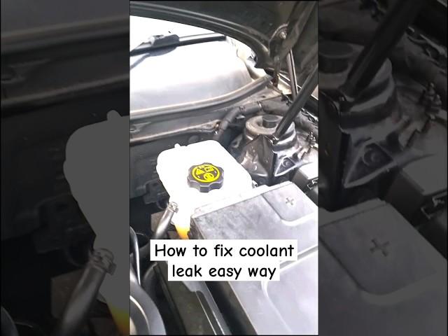 Radweld How to fix coolant leak EASY!