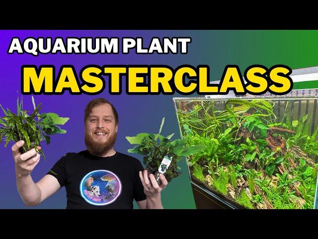 Be successful: start your aquarium plants right! All the things you should do to prep your plants.