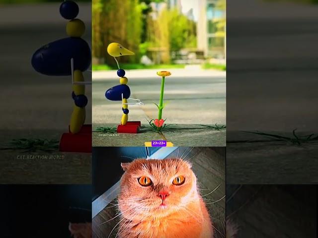 Save Love From Enemy  ll cat bombastic #popular #shorts