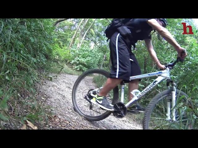 Tolle Mountainbike-Runde in Wien - Lainzer Tiergarten