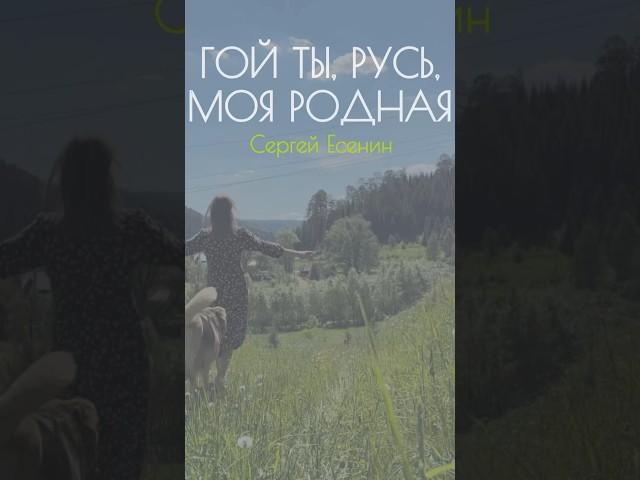 Сергей Есенин — Гой ты, Русь, моя родная… (читает Юлия Кожанова) #стихи #поэзия #Есенин #озвучка